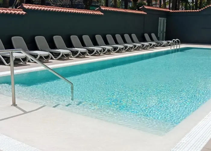 Palmeras Puerto de la Cruz (Tenerife)