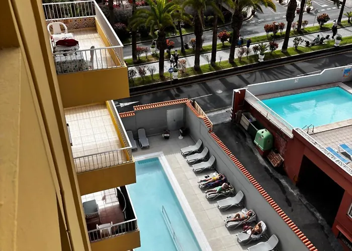 Palmeras Puerto de la Cruz