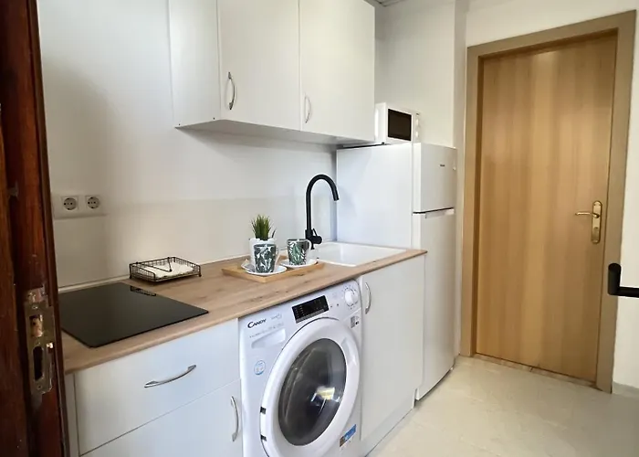 Palmeras Puerto de la Cruz